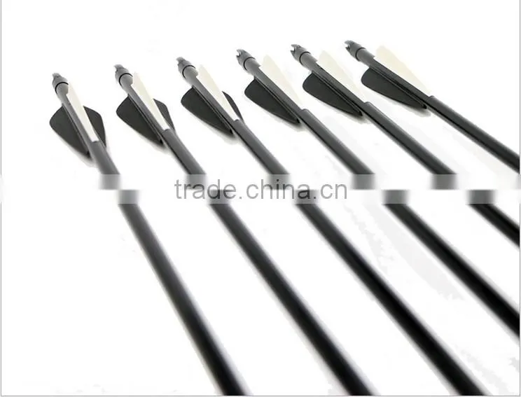 Archery 31 Inches Steel Point Glass Fiber Arrow