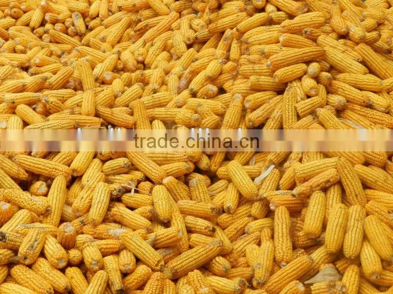 With CE harvest machine for corn 0086 15838061756