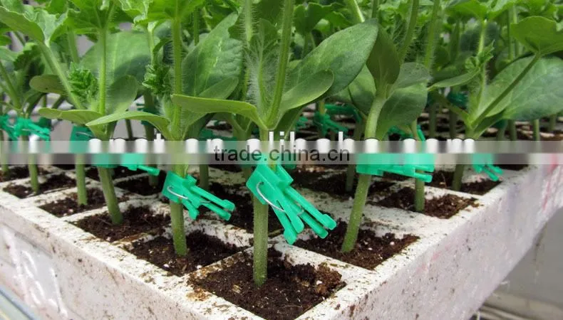 Spring Loaded Grafting Clip