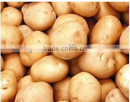 15kg charcoal ball packaging machine cell:0086 15890664277