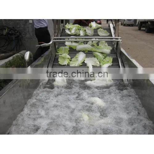High Efficiency Commercial Vegetable Fruit Washing Equipment