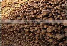 New design wood drum chipper made in China