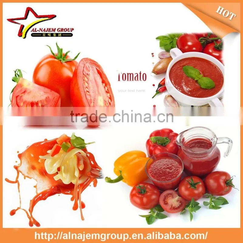 hot hot tomato paste making machine tomato paste processing machine tomato sauce factory machine