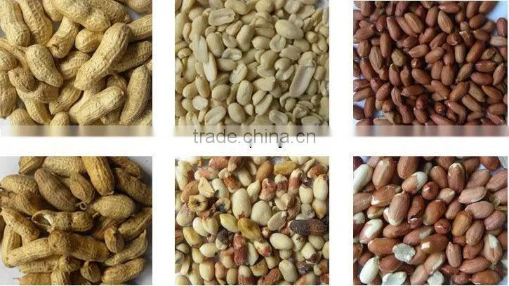 Hongshi Peanut CCD Color Sorter Machine, Peanut cleaning machine of high quality and best price