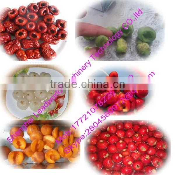 hot sale and high efficiency peach pitting machine