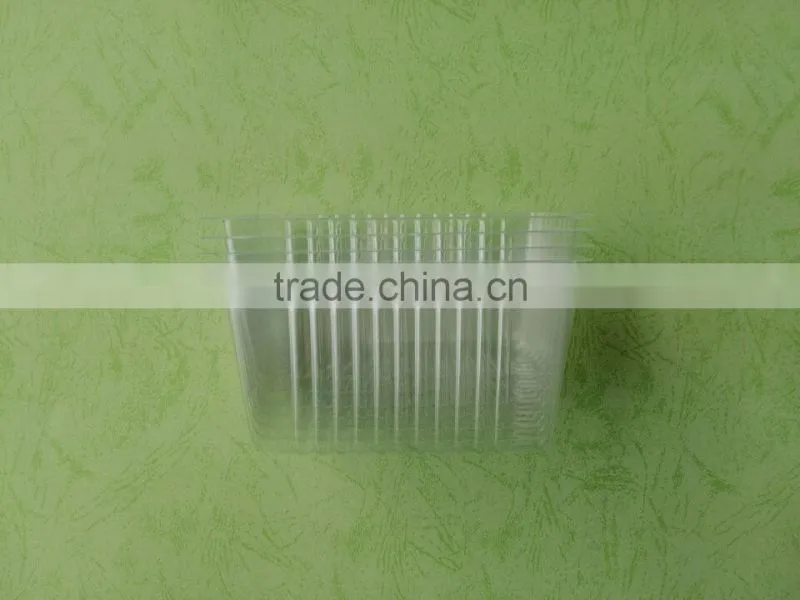 disposable clear plastic cookie trays