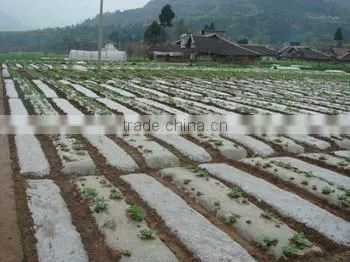 PE plastic covering film for agricultural/construction
