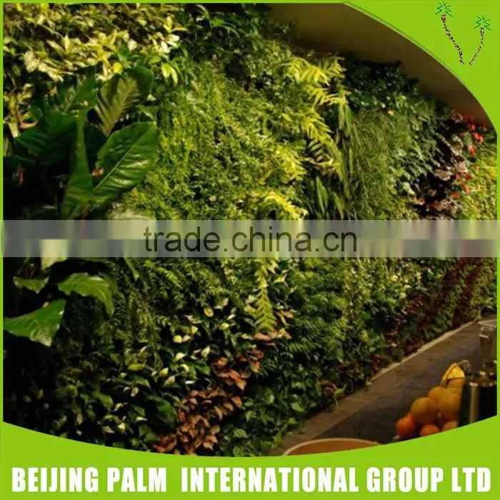 Best Prices Plane Wholesale Artificial Plant Wall