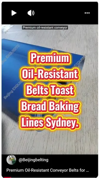 Sydney Oil-Resistant Conveyor Belts for Toast Bread Baking Lines