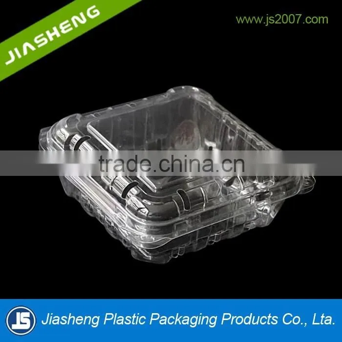 PET Clear plastic clamshell blueberry containers factory supplier