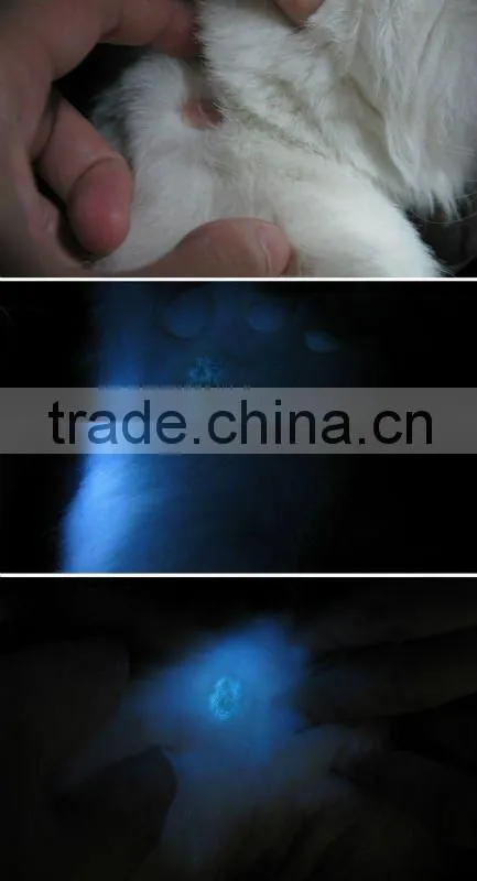 Veterianry skin diagnostic equipment
