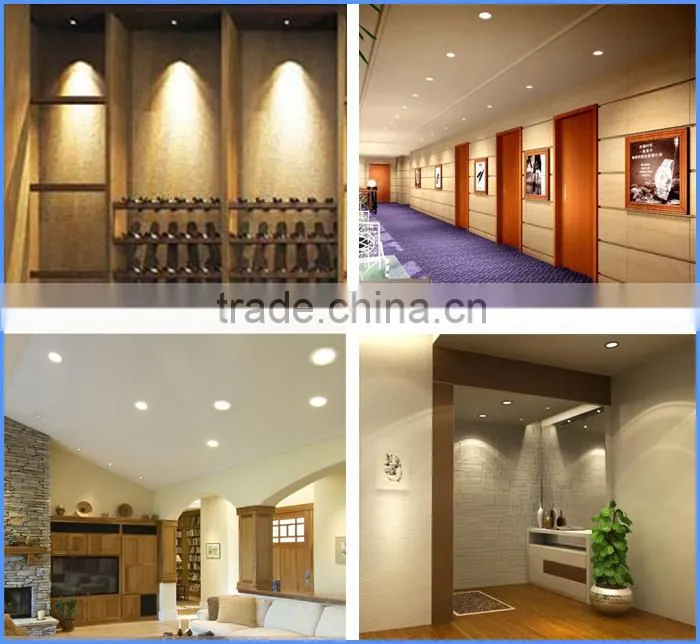 13W, led down light, circular led light, 980LM, CE&RoHS XC-TH13W-1