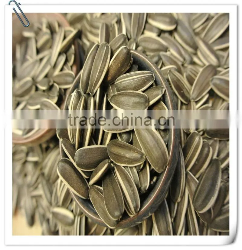 Chinese wholesale Sunflower Seeds with Good Quality 2015 New Crop 5009 363 0409