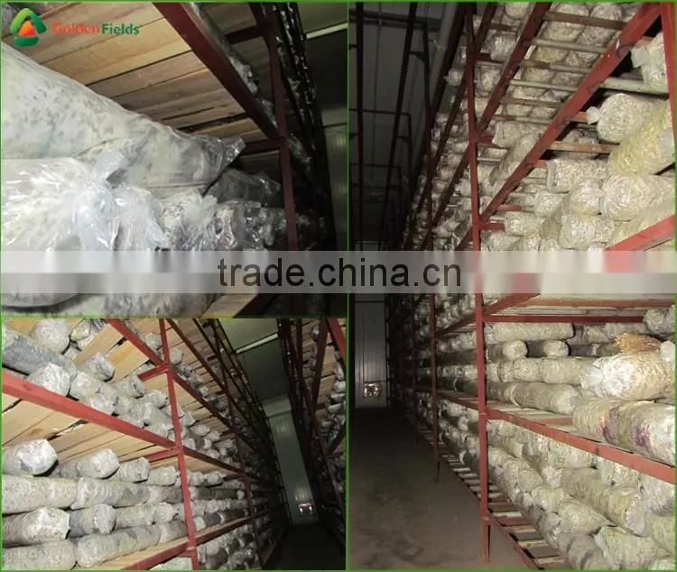 Market Price for Mushroom,Shiitake Mushroom Price,Mushroom For Sale