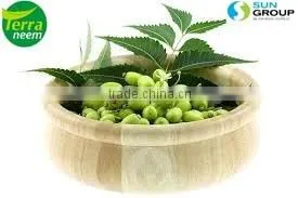 HIGH PURE NEEM OIL COLD PRESSED PESTICIDE