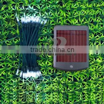 Solar light string