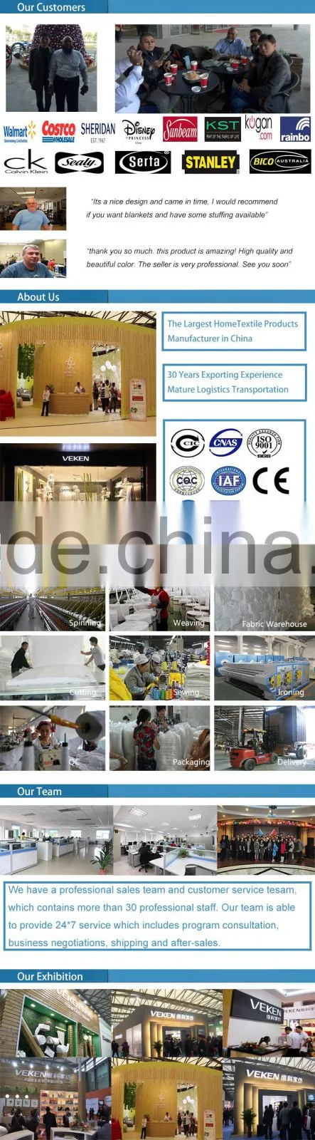 VEKEN Hometextile Products 100% Linen Bed Sheet