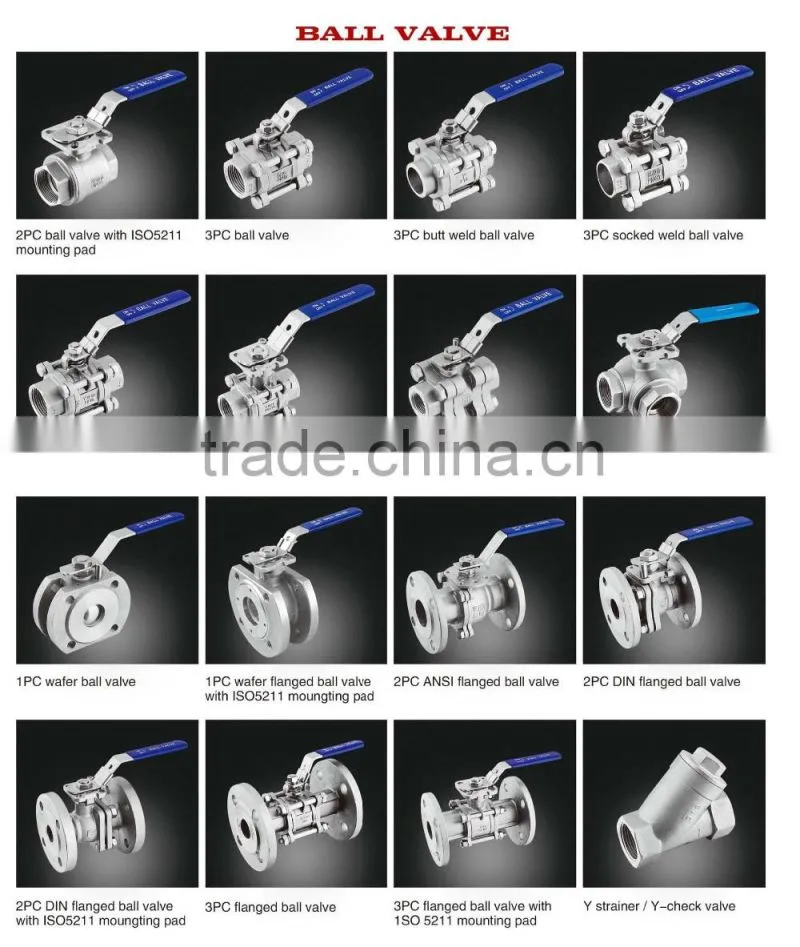 Stainless steel 304/316 ANSI/JIS/DIN Standard valve