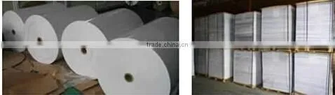 Paper cup forming machine for single coated paper on sale