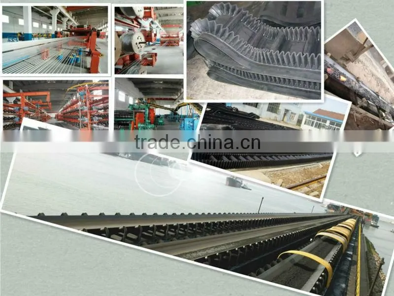 Wave-shape endless conveyor belt manufacturer