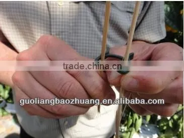 Many Sizes Plastic Plant Support Clip