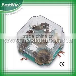 cockroach glue tunnel
