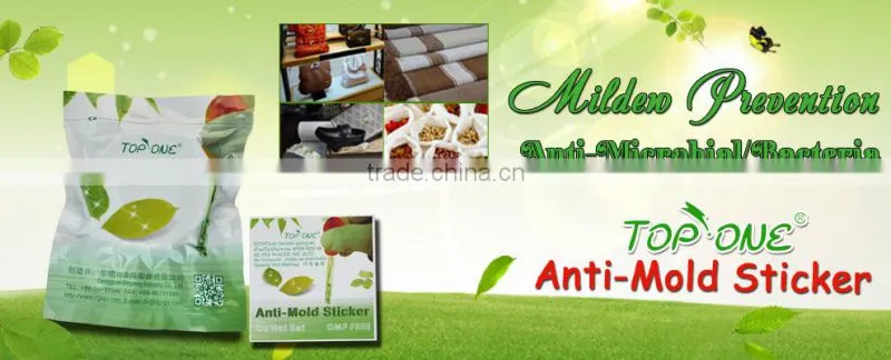 2015 Hot selling powerful anti mold paint for shoes made in China