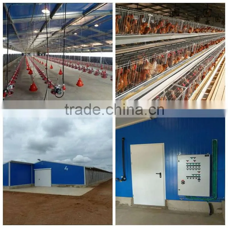 design chicken double floor shed poultry farm