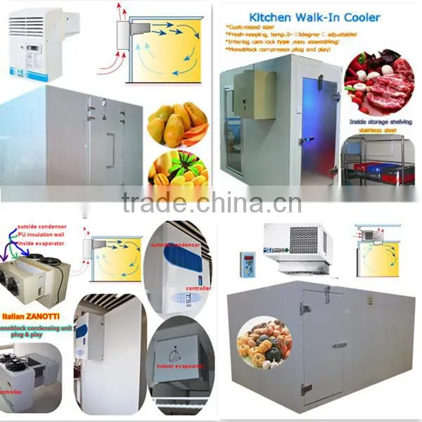 Zanotti roof mounted drop-in monoblock compressor for freezer room