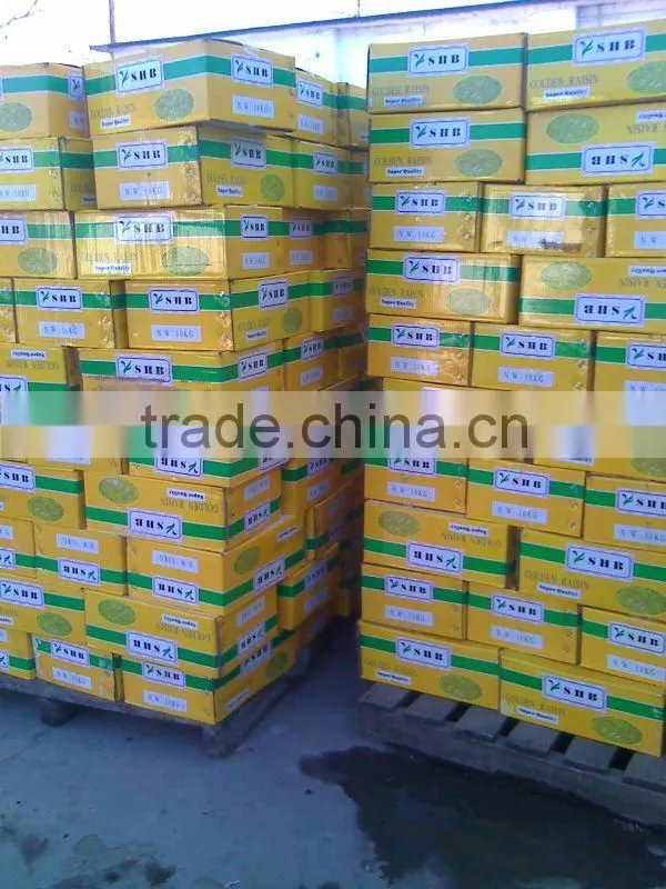 thompson seedless raisin