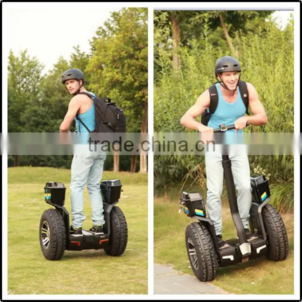 smart chic scooter/hoverboard electric skateboard/two wheel scooter