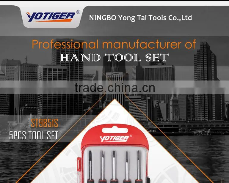 5pcs Promotional Black Head Precision Screwdriver Tool Set