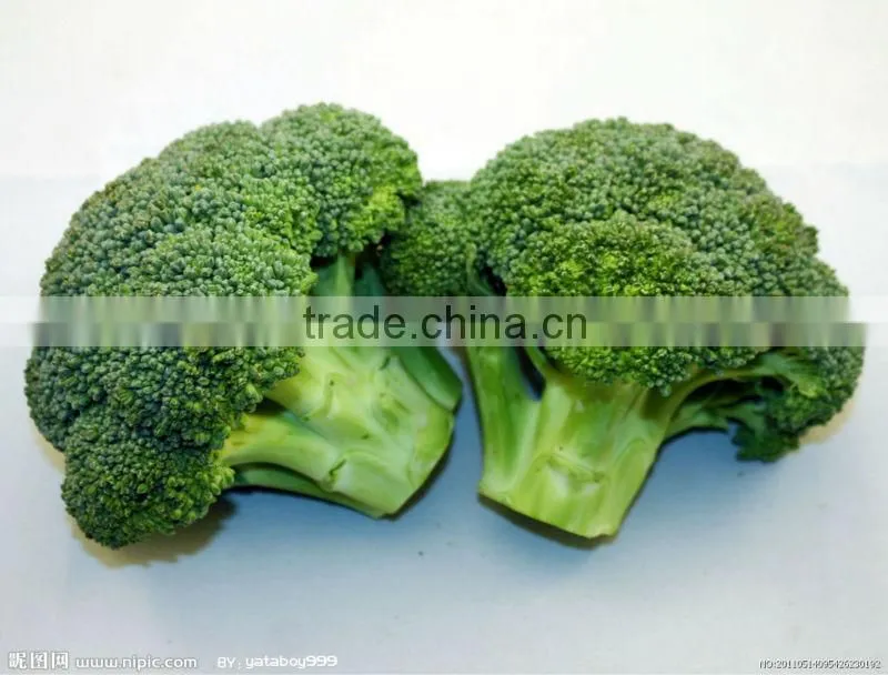 2013 new bulk frozen vegetables .