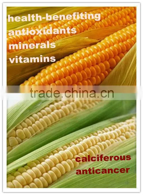425g Salty Canned Sweet Corn Kernel