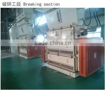 black seed oil mill