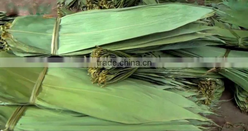 Bamboo leaves