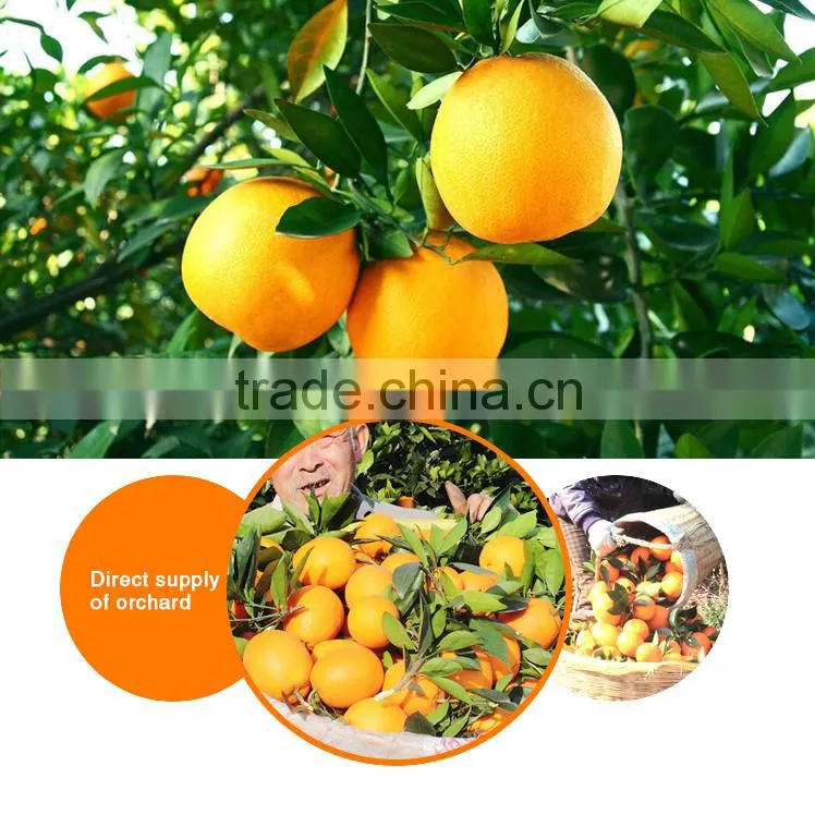 Purely Natural Wholesale Distributors Canned Fruit