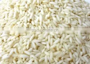 Rice Protein Meal