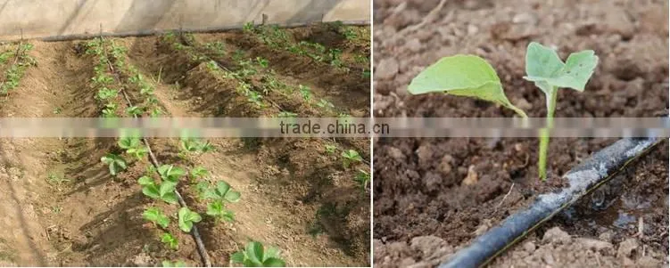 Flat and Emitter Drip Tape Irrigation With Thickness 0.30MM