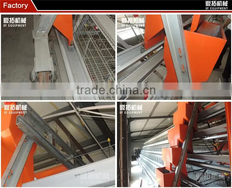 Design automatic equipment A type chicken house in poultry farm