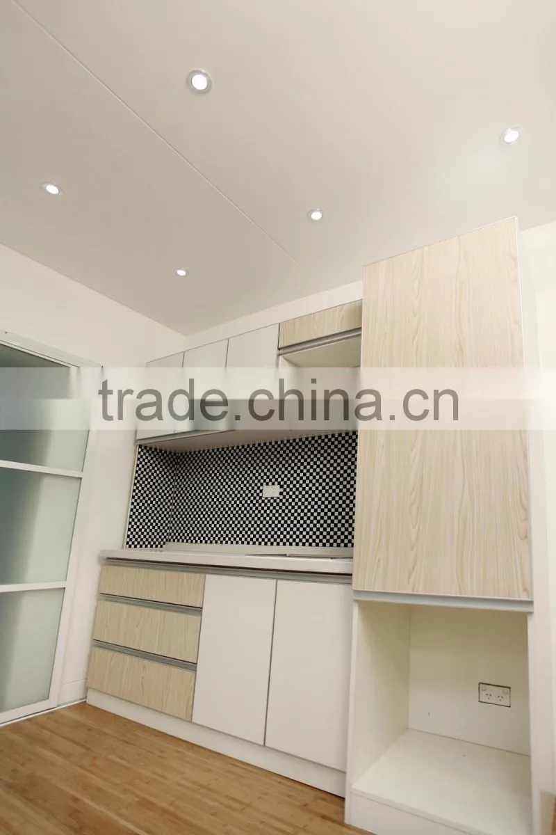 Chinese modern container home