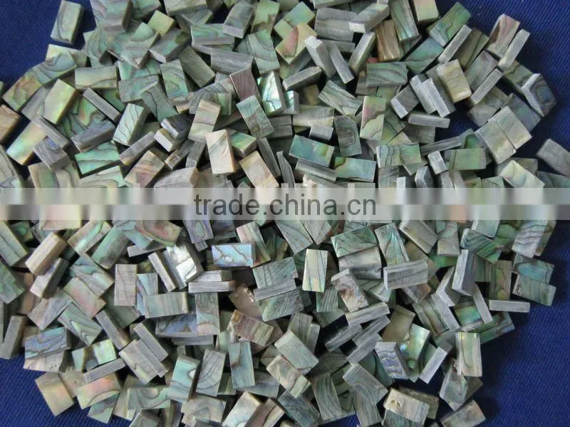 square cut thick abalone paua shell blank inlays