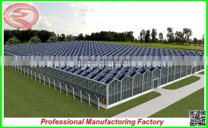 China polycarbonate board commercial greenhouses with aluminium profiles