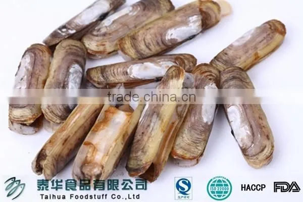 Frozen Razor Clam in Shellfish Frozen Seafood Exporters