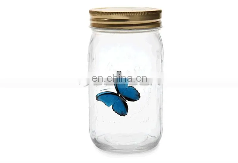 Factory Direct Sell Popular Attractive Butterfly Glass Jars