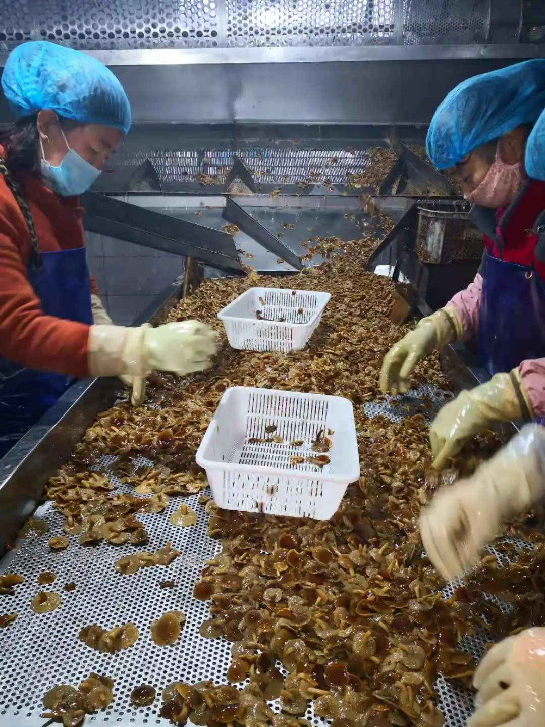 Xiuyan Funong Edible Fungi Production Professional Cooperatives company overview - view 3