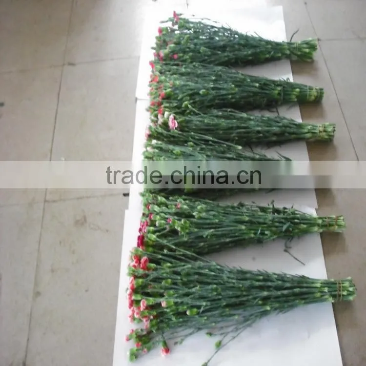 Alibaba china classical carnation for wedding stage backdrop decoration