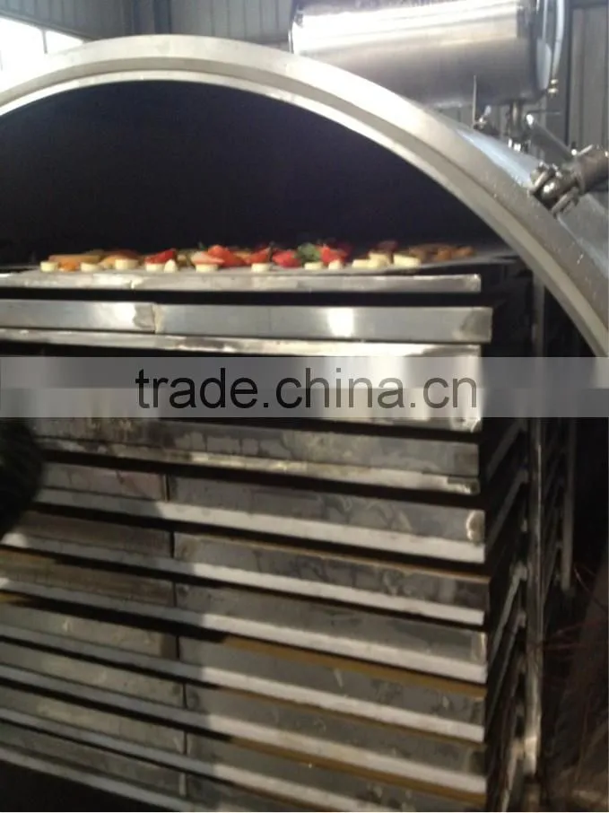 high-quality large capacity Vacuum freeze drying machine