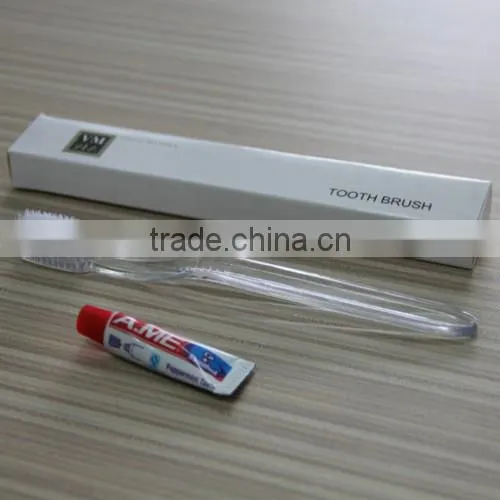 disposable toothbrush with small toothpaste
