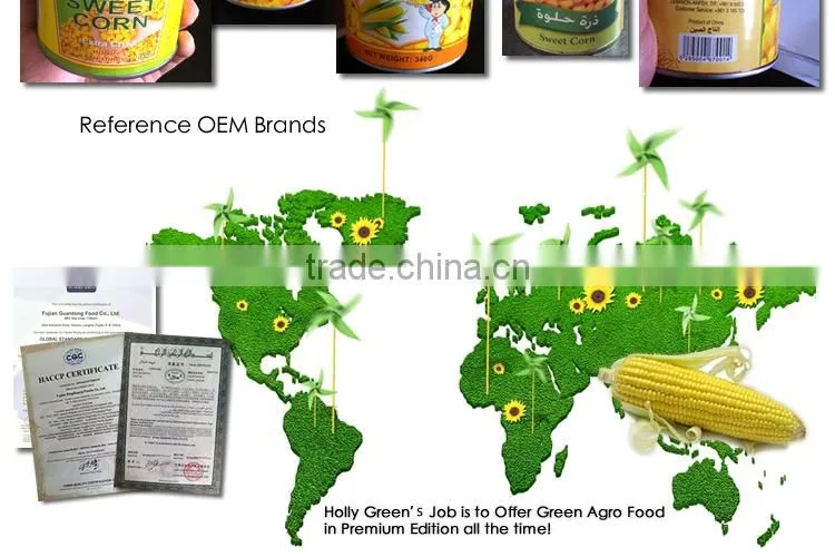 CANNED SWEET CORN HIGH QUALITY super sweet canned food NO GMO TAIWAN yellow corn raw material